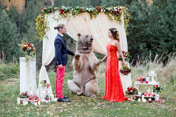 Russian Bride and Groom Invite a Bear to Their Wedding