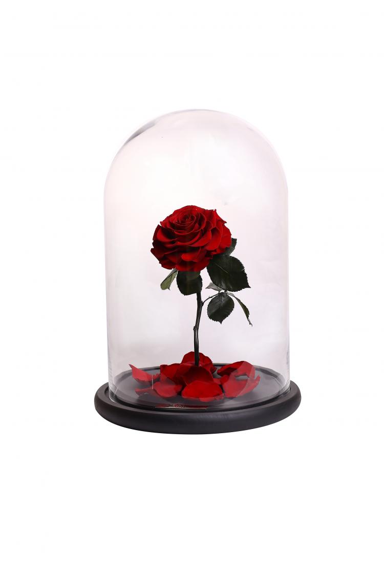 ’فور إيفر روز‘ و’والت ديزني‘ تعلنان عن إبرامهما اتفاقية تعاون مشترك ’فور إيفر روز‘ و’والت ديزني‘ تعلنان عن إبرامهما اتفاقية تعاون مشترك