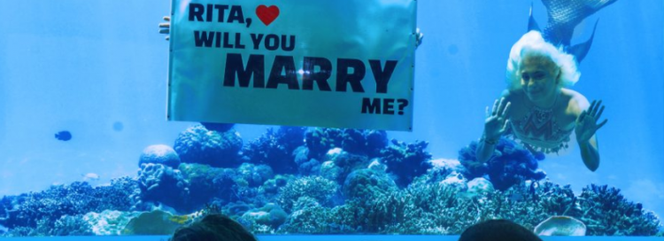طلب زواج تحت الماء في المالديف