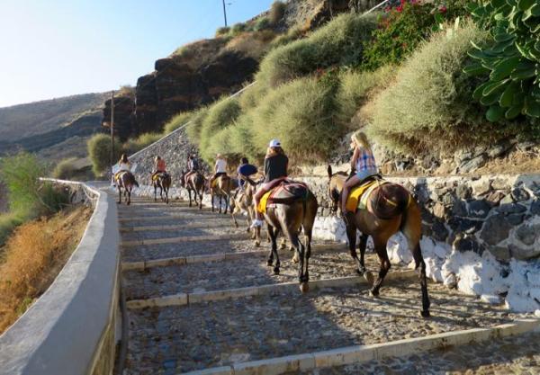 Santorini Donkey Ride
