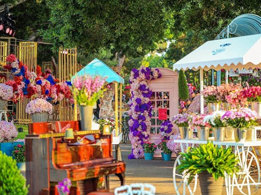 حفل زفاف بثيم سوق الأزهار من تنظيم روبرت هيكل