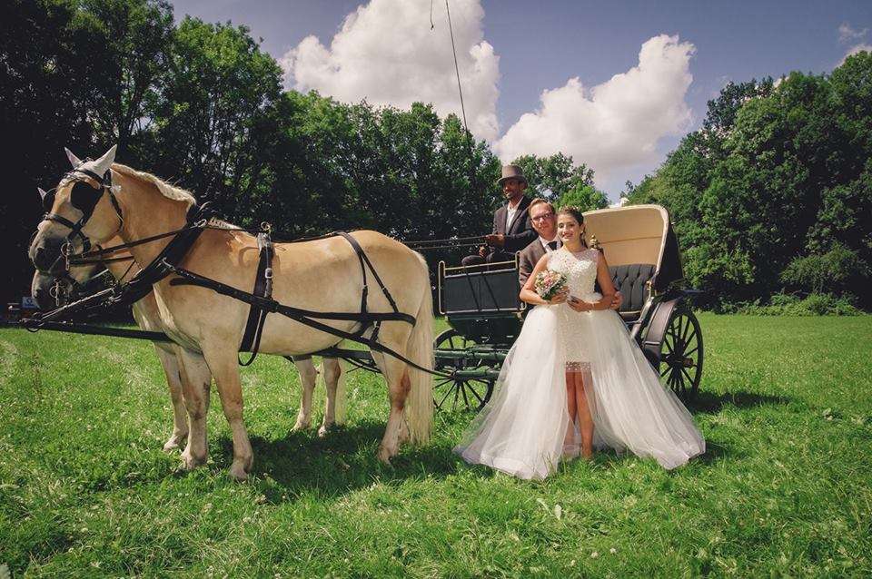 Majd and Max Wedding 18 Majd and Max Wedding 18