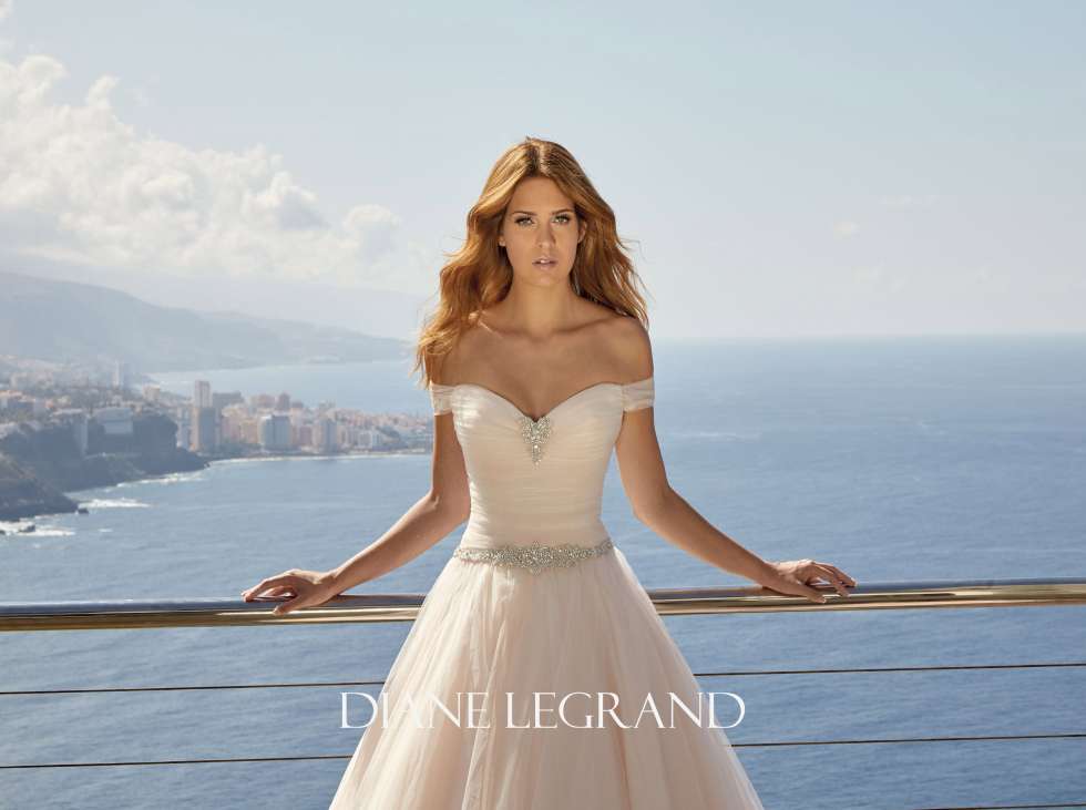 The Beautiful 2019 Wedding Dresses by Diane Legrand