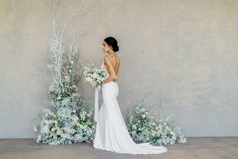The White Album Wedding Dress Collection by Claire Pettibone