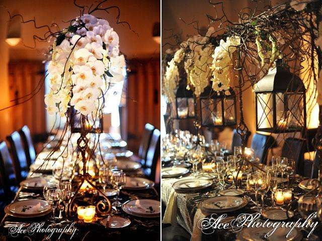 Orchids The Perfect Flower for Your Wedding