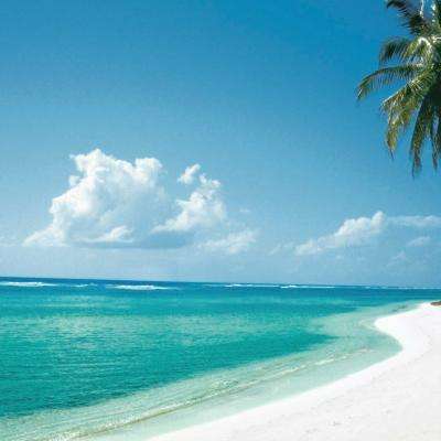 Your Honeymoon Destination: Cayman Islands
