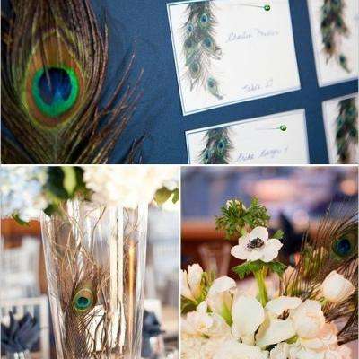 Peacock Wedding Theme 29