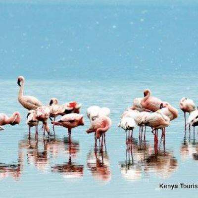 Discover The Magical Kenya On Your Honeymoon