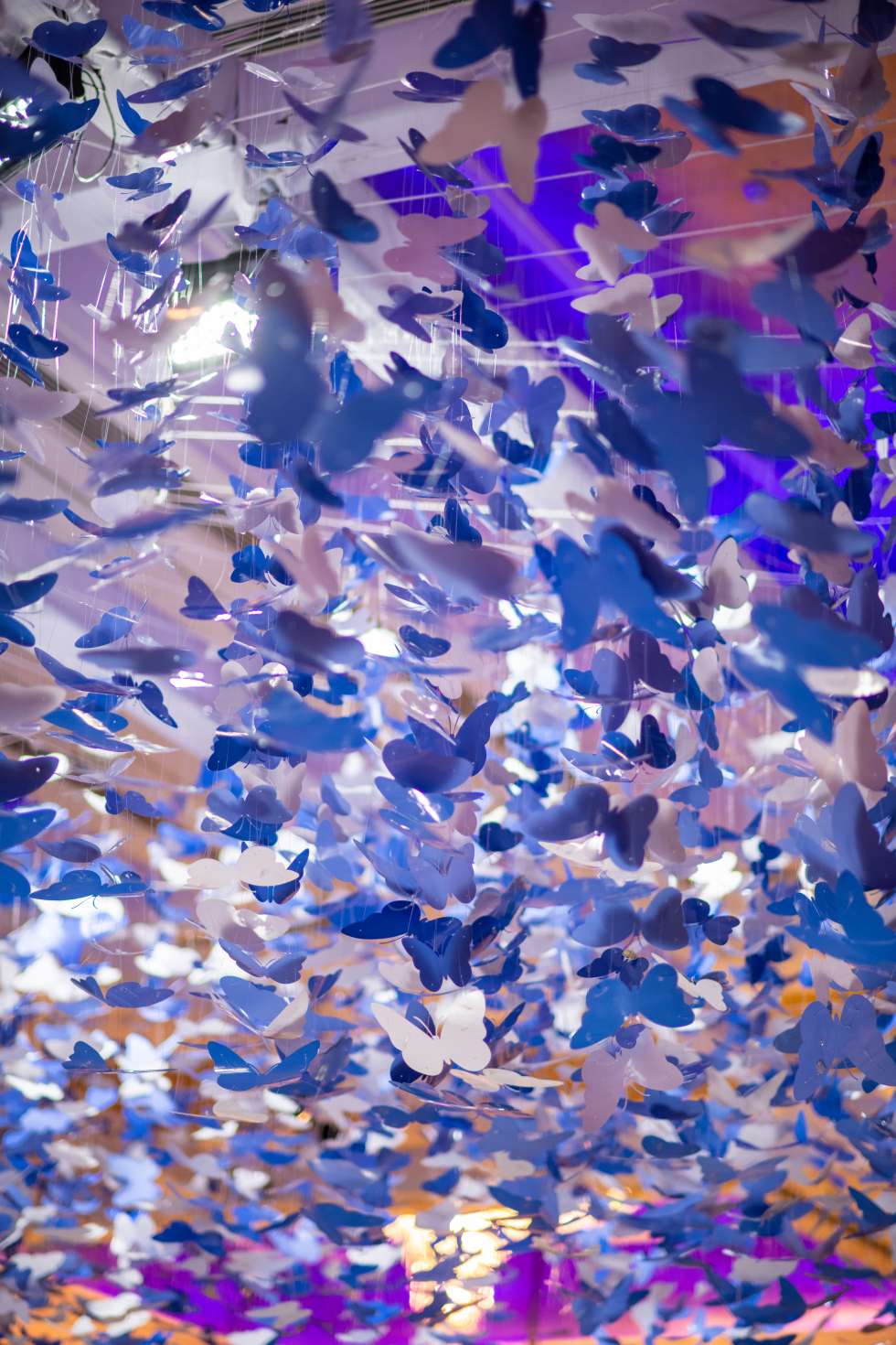 Magical Butterfly Wedding in Dubai