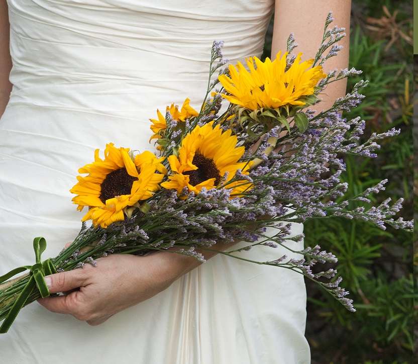 12 مسكة عروس بأزهار عباد الشمس لحفل زفاف مشرق
