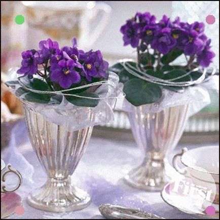 The ‘African Violet’ for Your Winter Wedding