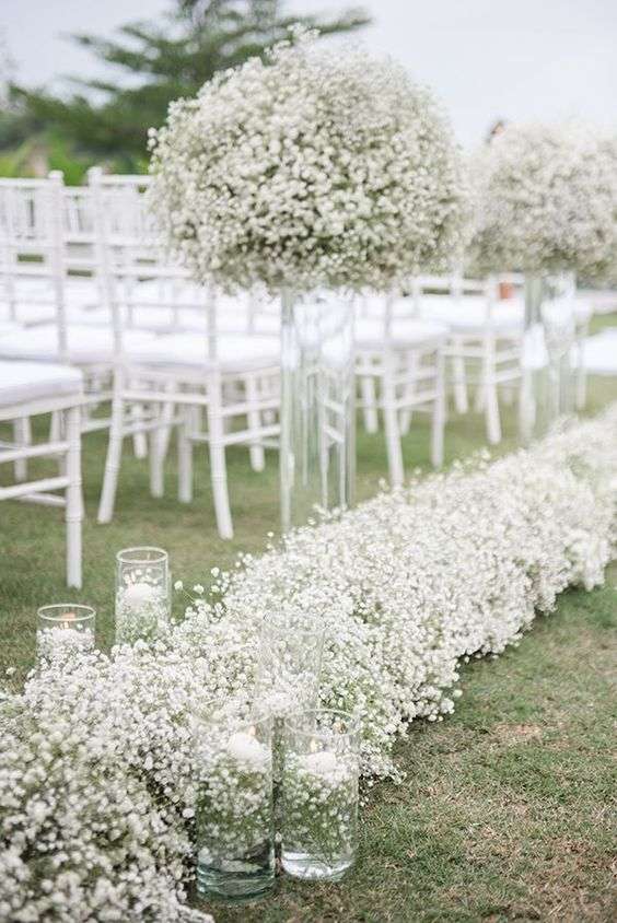 أزهار الجيبسوفيلا... من الخيارات المفضلة لحفل الزفاف 