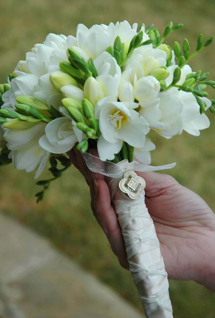 زهرة الفريزيا الرقيقة لحفل زفافك
