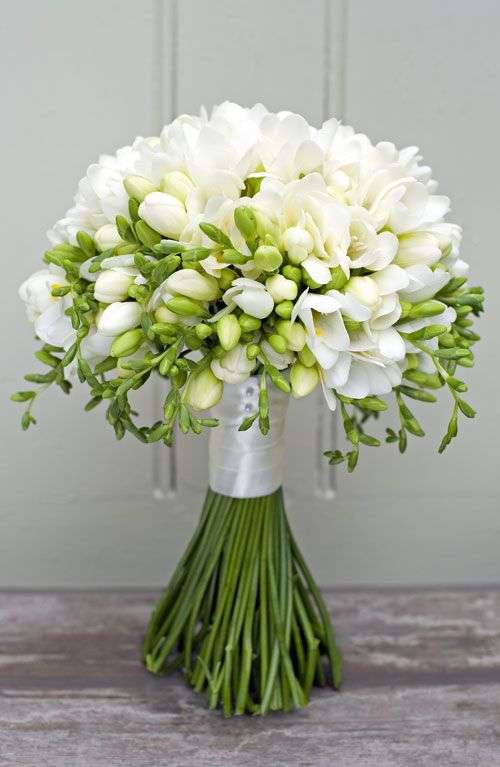Delicate Freesia Flowers for Your Wedding