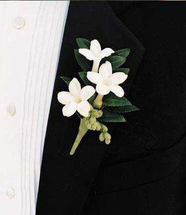 Elegant Stephanotis Flowers for Your Wedding