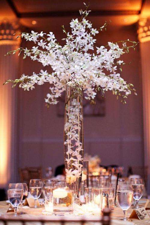 كيف تدخلين أزهار الستيفانوتيس في حفل الزفاف؟