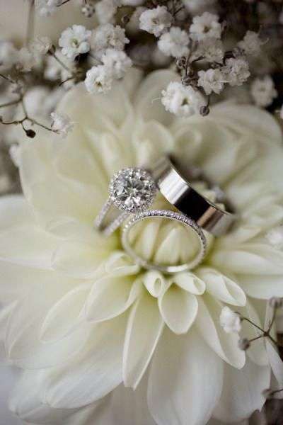 Wedding or Engagement Ring Photo Ideas