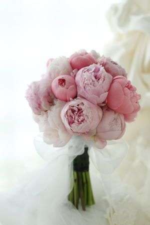 Choosing the Perfect Peony Wedding Bouquet