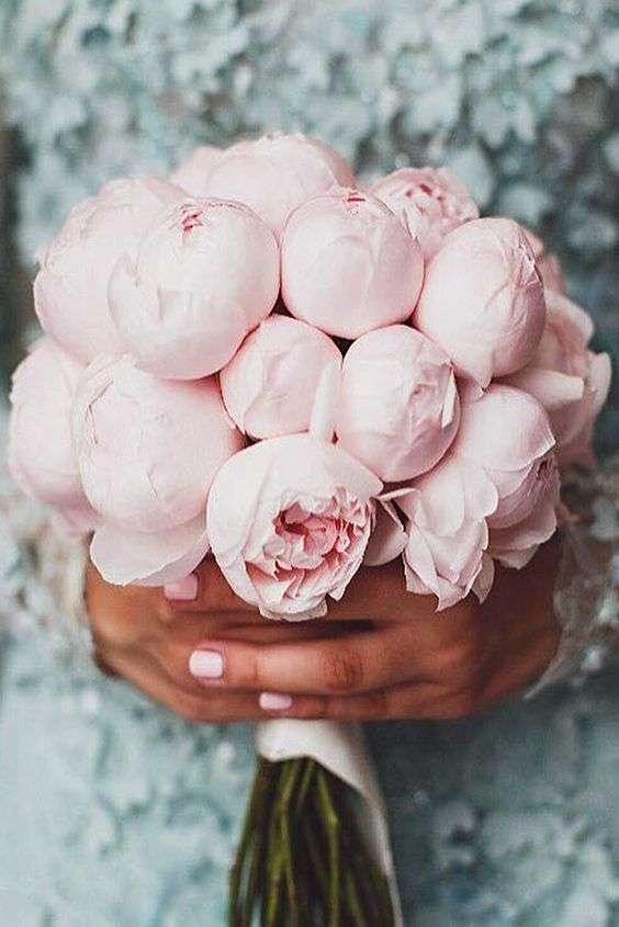 مسكة عروس من أزهار الفاوانيا 