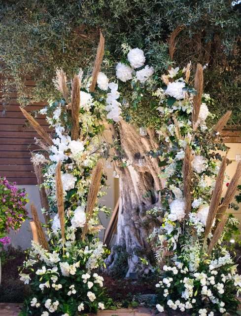 حفل زفاف حميمي في الهواء الطلق في قطر