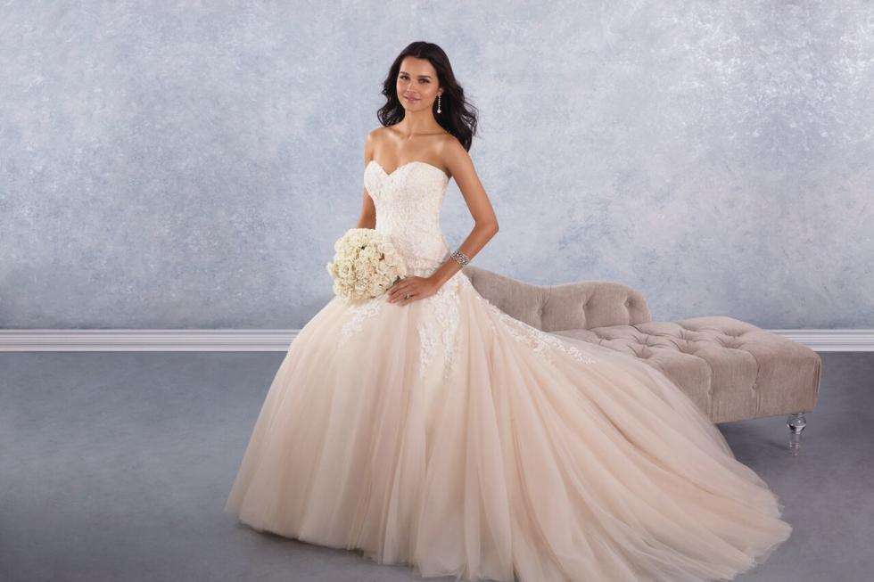 The Beautiful Alfred Angelo Signature Collection