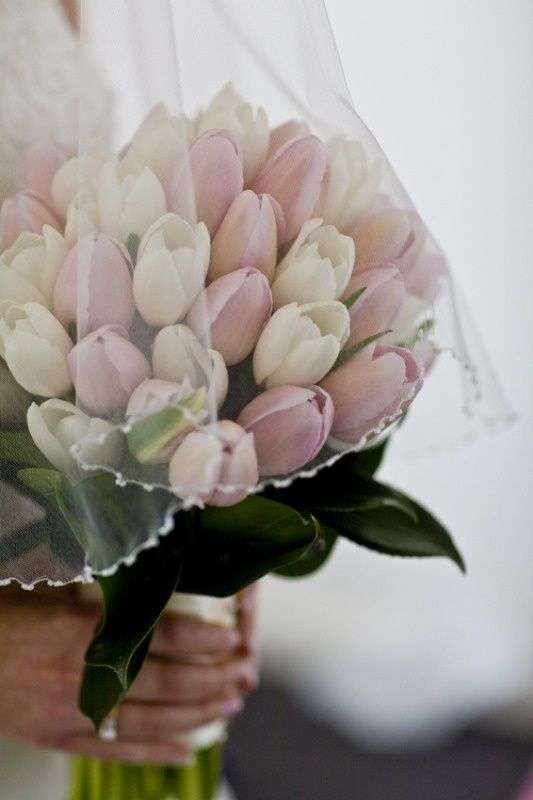 15 Breathtaking Tulip Bouquet Wedding