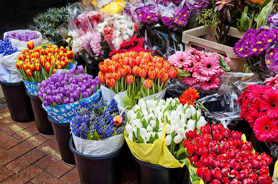 Best Flower Shops in Riyadh