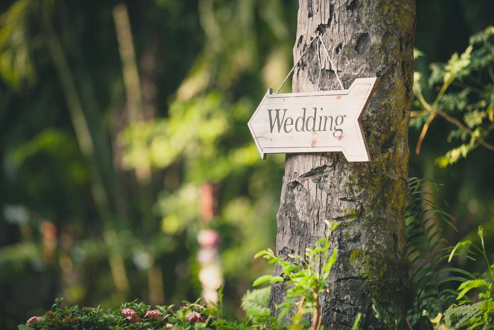 Everything You Need to Know About Having an Eco-Friendly Wedding
