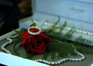 HotShots Photography 