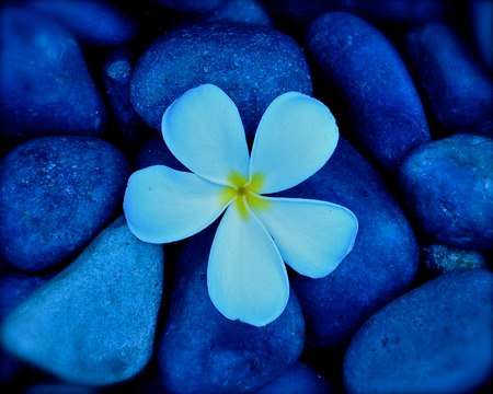 Blue Pebbles Beauty