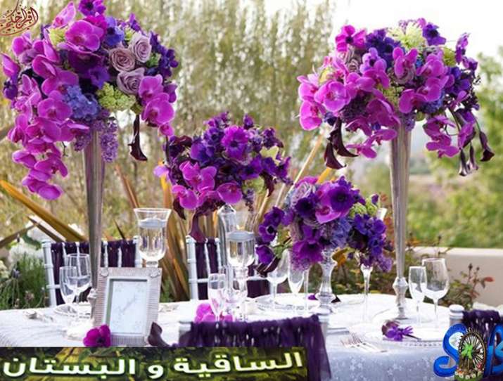 Sakiya Wa Al Bostan Flowers