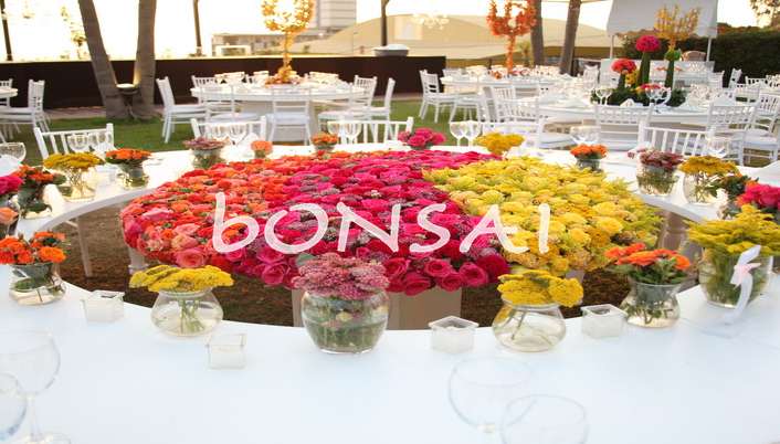 Bonsai Flowers & Plants
