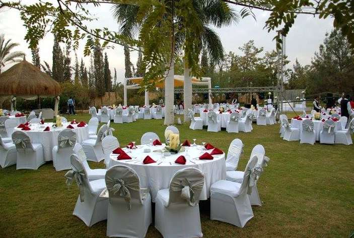 Dream For Event Planning & Catering Supply