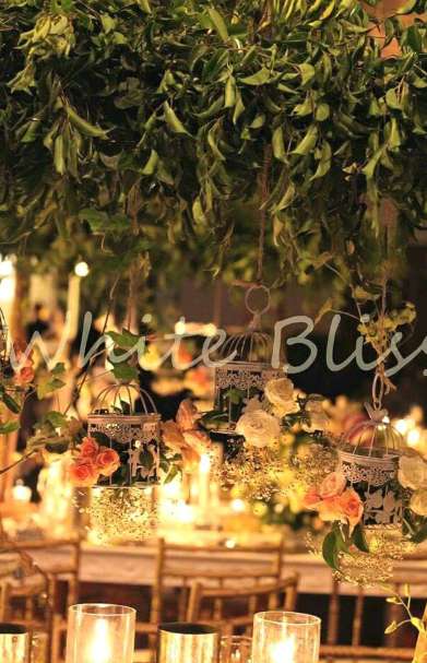 White Bliss Weddings and Events Planning