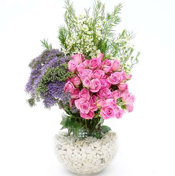 Floristry Flowers & Plants