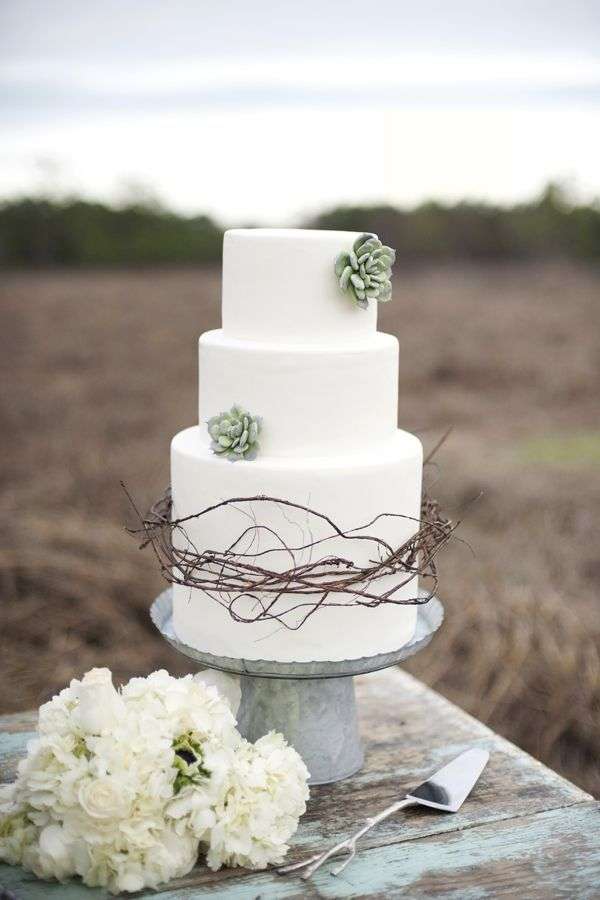 Succulent and Twigs Wedding Cake