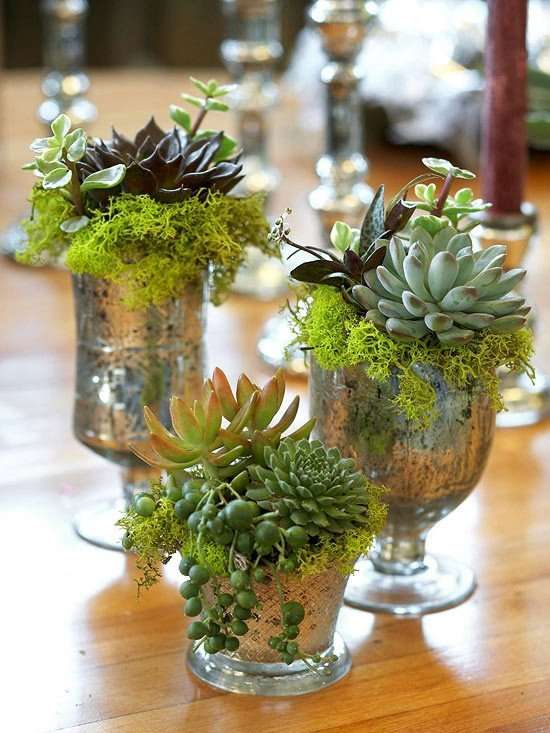 Cactus Wedding