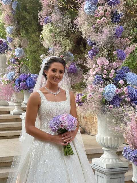 Pastel Colored Hydrangeas 1