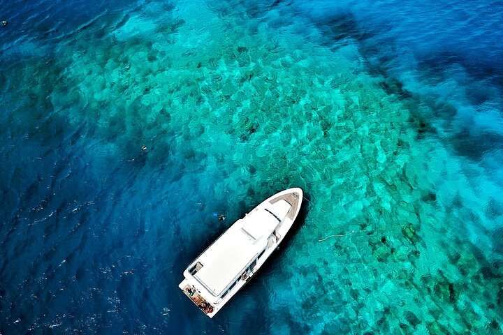 Snorkeling and Cruise