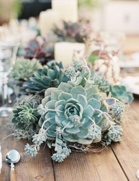 Cacti Wedding