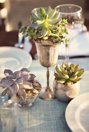 succulent wedding decor