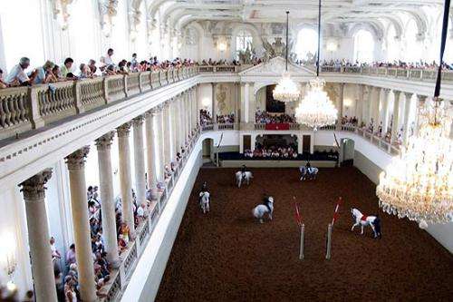 The Spanish Riding School in Vienna