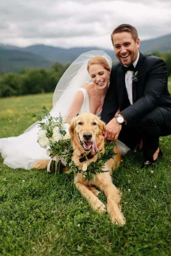 Weddings with Animals