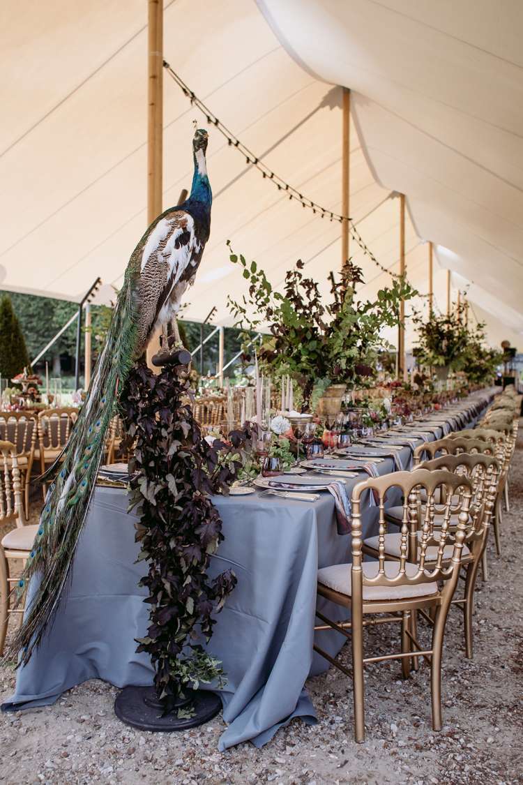 حفل زفاف ريتا وداريوس الساحر في القصر الفرنسي حفل زفاف ريتا وداريوس الساحر في القصر الفرنسي