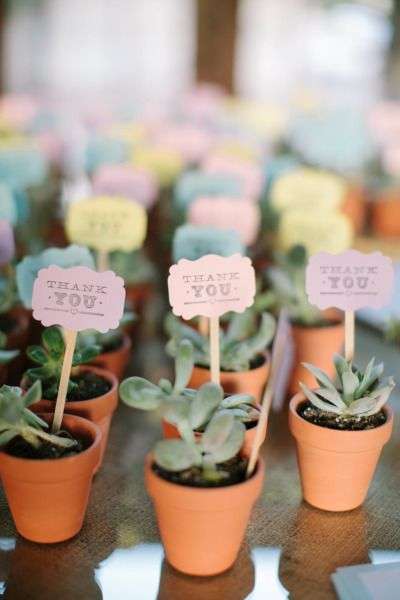 Plants Wedding Favors