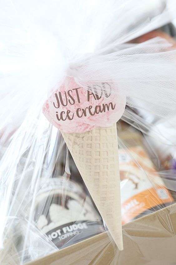 ice cream kit
