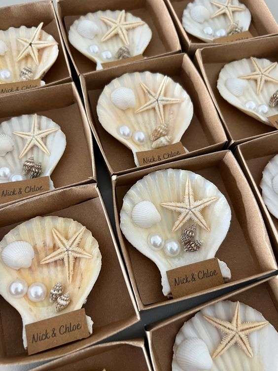 seashell favors