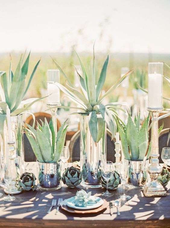 Succulents for desert weddings