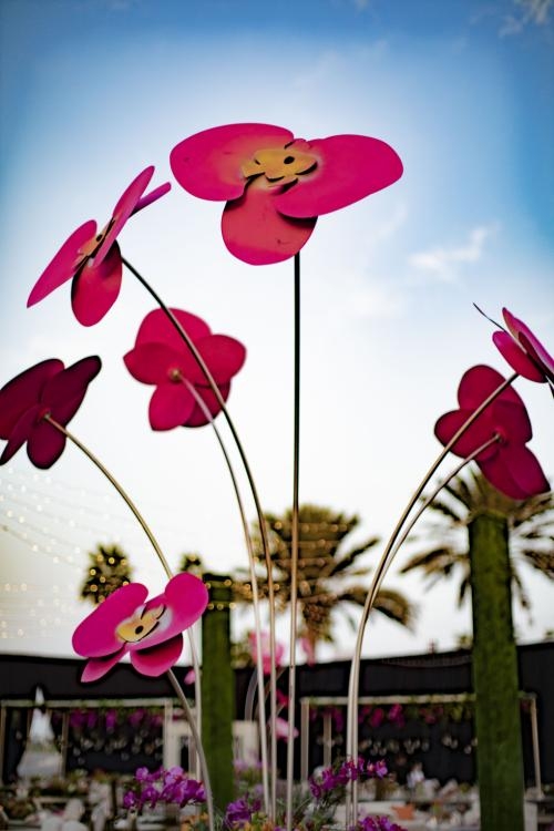 اللون الوردي الفاتح اللون الوردي الفاتح