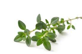 Beauty Benefits of Thyme